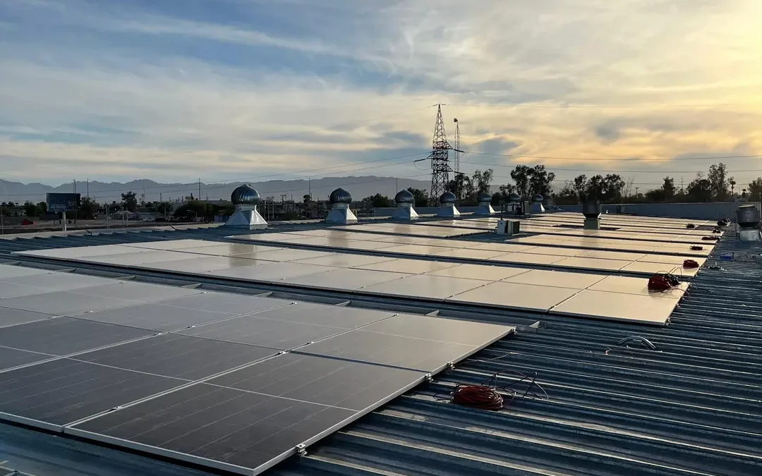 Apuesta Don Cacahuato por las energías renovables
